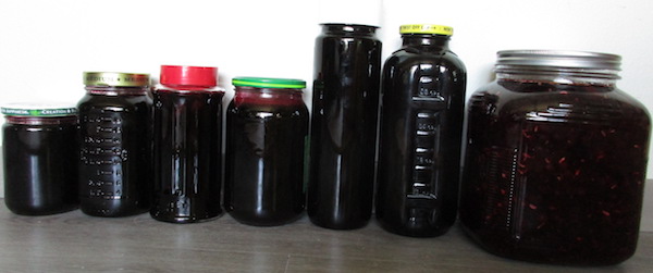 7 Black Crrant liqueur mixes ready to age for months