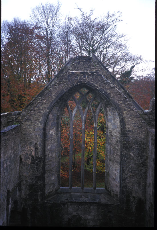 Muckross Abbey Nov. 1998