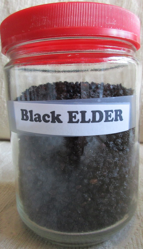 dried black elderberries