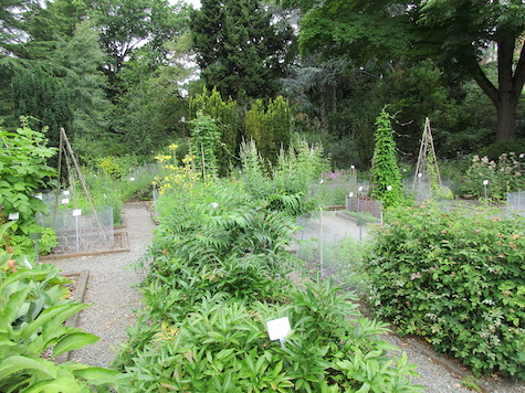 U.W. Medicinal Herb Garden